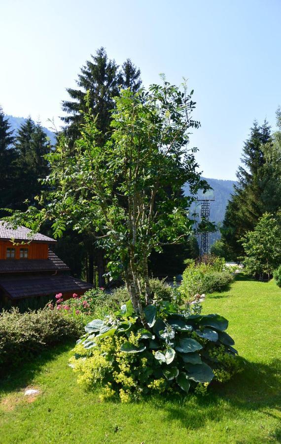 Die Kalsbergerin Ferienwohnung Fuer Geniesser Donnersbachwald Εξωτερικό φωτογραφία